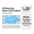 Stayve Booster Whitening Stem Cell Vial product in its sleek packaging displayed on a white background, emphasizing its skin brightening and anti-aging qualities.